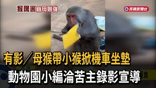 獼猴母子掀機車坐墊覓食 動物園小編淪苦主無奈錄影－民視新聞