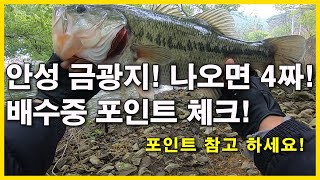 안성 금광지!나오면 4짜! 배수중 포인트 체크! 포인트 참고하세요!