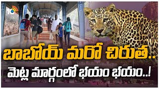 Cheetah Halchal In Tirumala | బాబోయ్ మరో చిరుత.. మెట్ల మార్గంలో భయం భయం..! | 10TV News