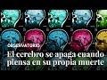 Así se apaga el cerebro ante la idea de nuestra propia muerte