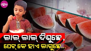 Sambalpur News: ସମ୍ବଲପୁରନେ କେନ୍ତା ତରଭୁଜ୍ ସାଲାଡ୍ ମିଲୁଛେ ଜାନିଛନ୍?