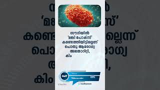 പ്രധാന ഗൾഫ് വാർത്തകൾ ഒറ്റനോട്ടത്തിൽ...| Gulf Madhyamam | Gulf News Malayalam