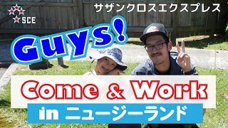 【男子必見】ニュージーワーホリなら稼げる！