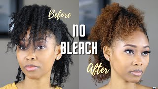 How I Dye My Natural Hair With No Bleach | Clairol Review