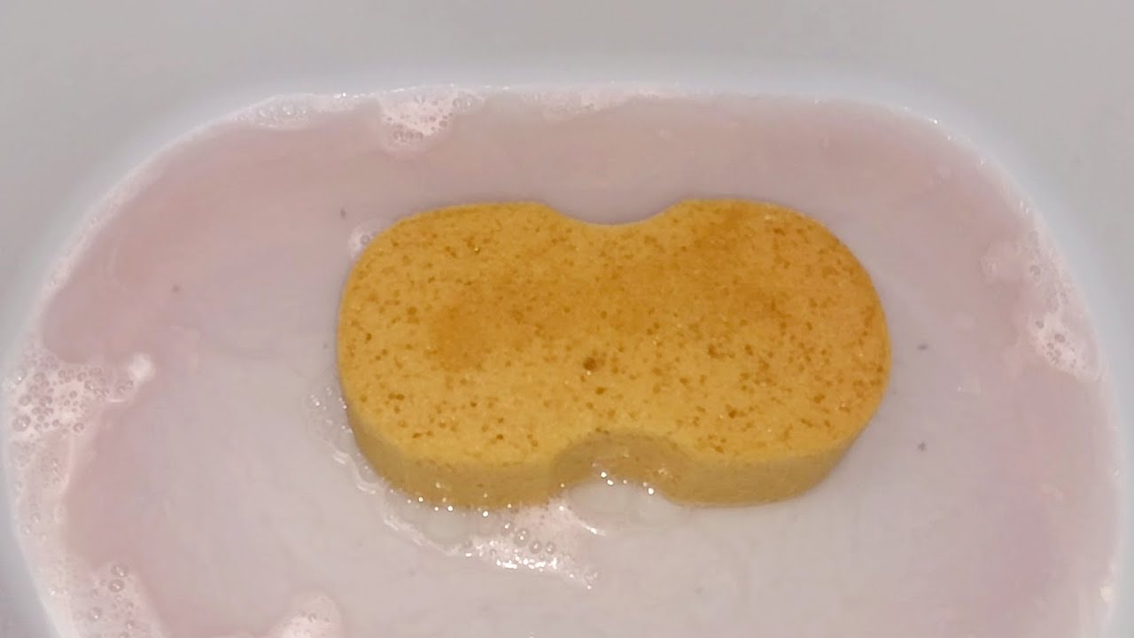 Asmr New Sponge Youtube