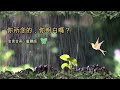 金言甘雨 你所念的，你明白嗎？兒童版