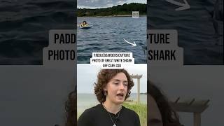 Paddleboarders capture photo of great white shark off Cape Cod