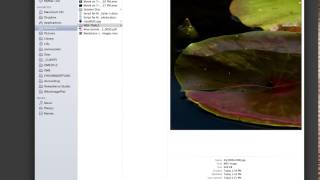 Wordpress Tutorial 2014 | inFocus Theme | Fancy Images I: How to use shortcode "Fancy Images"