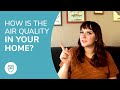 Indoor Air Quality 101 | Understand and Improve the Air in Your Home