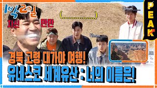 [#피크타임] 유네스코 세계유산 너의 이름은? 가본 곳도 못 맞히는 💩멍청이 찾기 대결 | #1박2일시즌4 | KBS 240331 방송