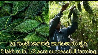 Bittergourd farming in india organic farming, ಹಾಗಲಕಾಯಿ ಯಶಸ್ವಿ ಕೃಷಿ ರೈತರ ಅನುಭವ ಹಾಗೂ ಮಾಹಿತಿ