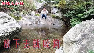 俗话说“水清则无鱼”，清澈见底的溪水里，打工仔能钓到鱼吗