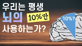 우리는 평생 뇌의 10%만 사용하는가?ㅣ뇌를 둘러싼 잘못된 오해와 신화들 #1ㅣ 뇌과학 배우기ㅣ뇌의 구조와 작동 원리ㅣ뇌과학과 영화ㅣ영화 루시 Lucy ㅣ뇌의 가소성과 잠재력