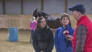 Celebrate WNY: Kevin O'Neill checks out a horse back riding facility