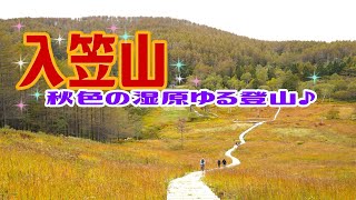 【登山】秋色の湿原🍁紅葉の入笠山でゆる△登山。ロープウェイで楽チン♪秋のおススメのゆる山はココだ！2022.10.8