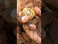 a beautiful gold ornament was found under the soil😍😍