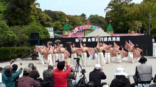 太宰府門前真舞祭【かすがYOSAKOI隊】