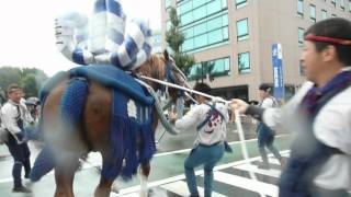 真和誠真会～2012～祭り（馬追い）＜藤崎宮秋季例大祭＞