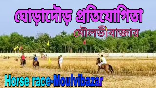 Horse Race | Moulvibazar, Sylhet | ঘোড়াদৌড় প্রতিযোগিতা |