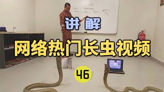 网络热门长虫视频(46) | 男子被眼镜王蛇咬伤8次不死！每天教眼镜王蛇看书看电视？【世界记忆大师龙雅】