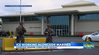 ICE agents will patrol gates of Oahu’s Marine Corps Base in pilot program