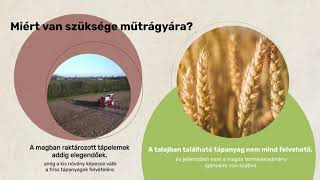 Őszi kalászosok őszi műtrágyázása: sok múlik az elején! | Hírös Agrária