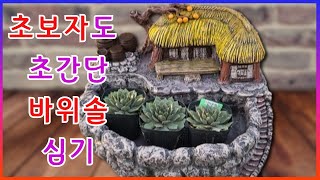 [24/12/14] 바위솔 전용토를 사용하면 초보자도 바위솔 아주쉽게 뚝딱 심을수 있답니다