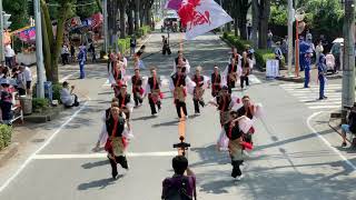 k-one動流夢 2019彩夏祭 公園通り南パレード 1本目