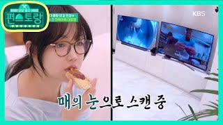 애완청소기 2대에 TV도 2대★장비(?) 부자 유리의 달인 찾기 [신상출시 편스토랑/Stars Top Recipe at Fun-Staurant] 20200417