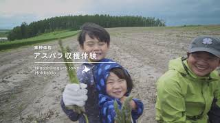 【北海道東神楽町のグリーンツーリズム！】アスパラガス収穫体験（モニターツアー）