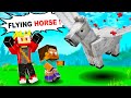 Taming Magical Horses in Minecraft With Baby Herobrine !