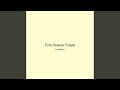 Echo Breeze Fragile