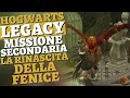 La Rinascita Della Fenice MISSIONE SECONDARIA HOGWARTS LEGACY