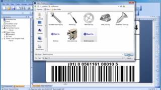 Getting Started with BarTender Software Tutorial