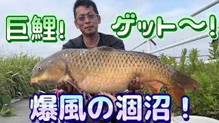 石くんの鯉釣り105爆風の涸沼！編！