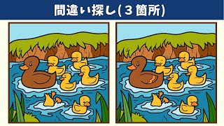 Find 3 Differences | Illustration Version #475