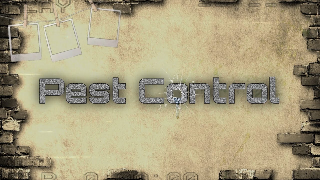 Pest Control Youtube