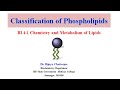 Classification of Phospholipids