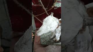 Janwar palne ka fajilat #goat #farming