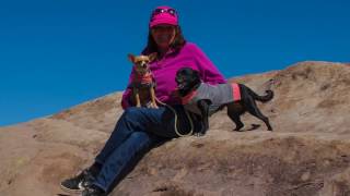 Exploring Vasquez Rocks-Beachcricket \u0026 The Van Pups!