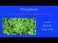 Curarsi con i cibi cinesi: prezzemolo nell’alimentazione e dietetica cinesi