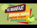 10 MANFAAT JERUK NIPIS | SELAIN SEGAR JUGA BANYAK MANFAAT UNTUK TUBUH KITA