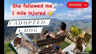 Ironman Triathlon Prep. Episode - 6 | Adopted dog | Christmas Training |