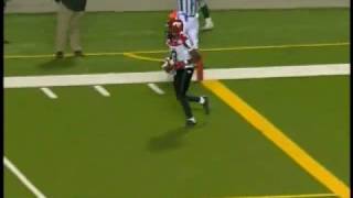 Henry Burris touchdown pass to Ryan Thewell vs. Saskatchewan