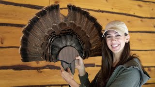 The BEST WAY To Mount a Turkey Fan