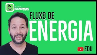 FLUXO DE ENERGIA - "ECOLOGIA" Prof.Aleks
