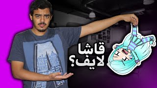 ايش هي القاشا لايف ؟ 🤔