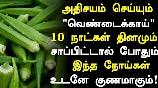 வெண்டைக்காய் மருத்துவ அதிர்ச்சி! | Vendaikkai Benefits in Tamil| Tamil News | Health Tips in Tamil