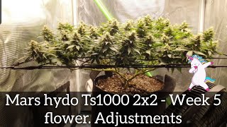 Mars Hydro Ts1000 Ep8 - Flower adjustment