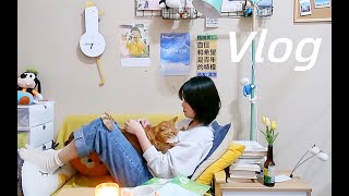 日常Vlog ｜裸辞待业青年的一周⧸一人二猫在杭州⧸独居生活⧸一人食⧸空气炸锅初体验⧸温暖春日